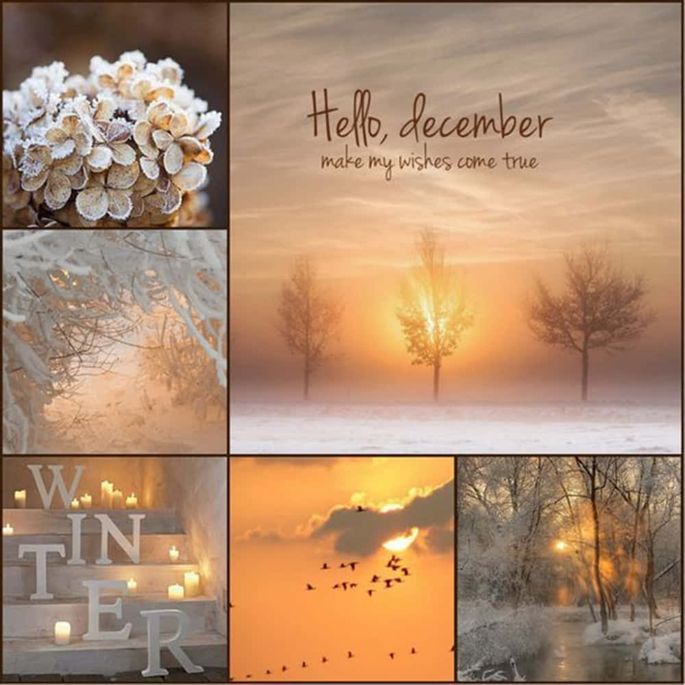 Welcome December Winter Sunset Collage Wallpaper