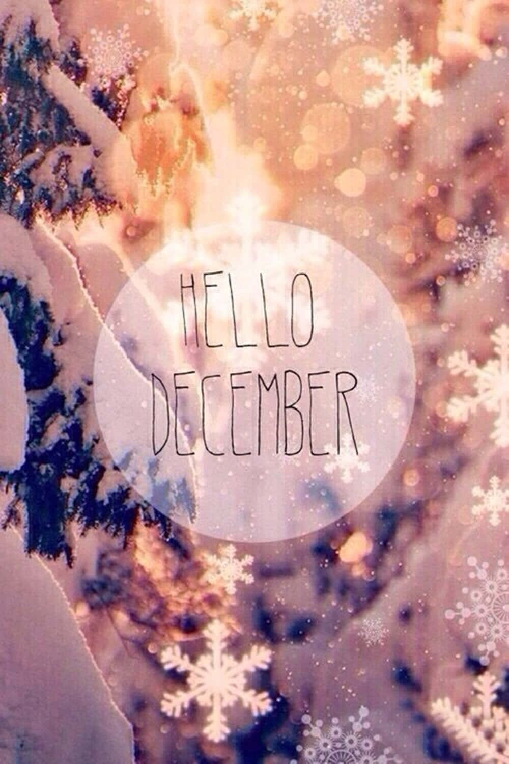 Embrace the Magic of December Wallpaper