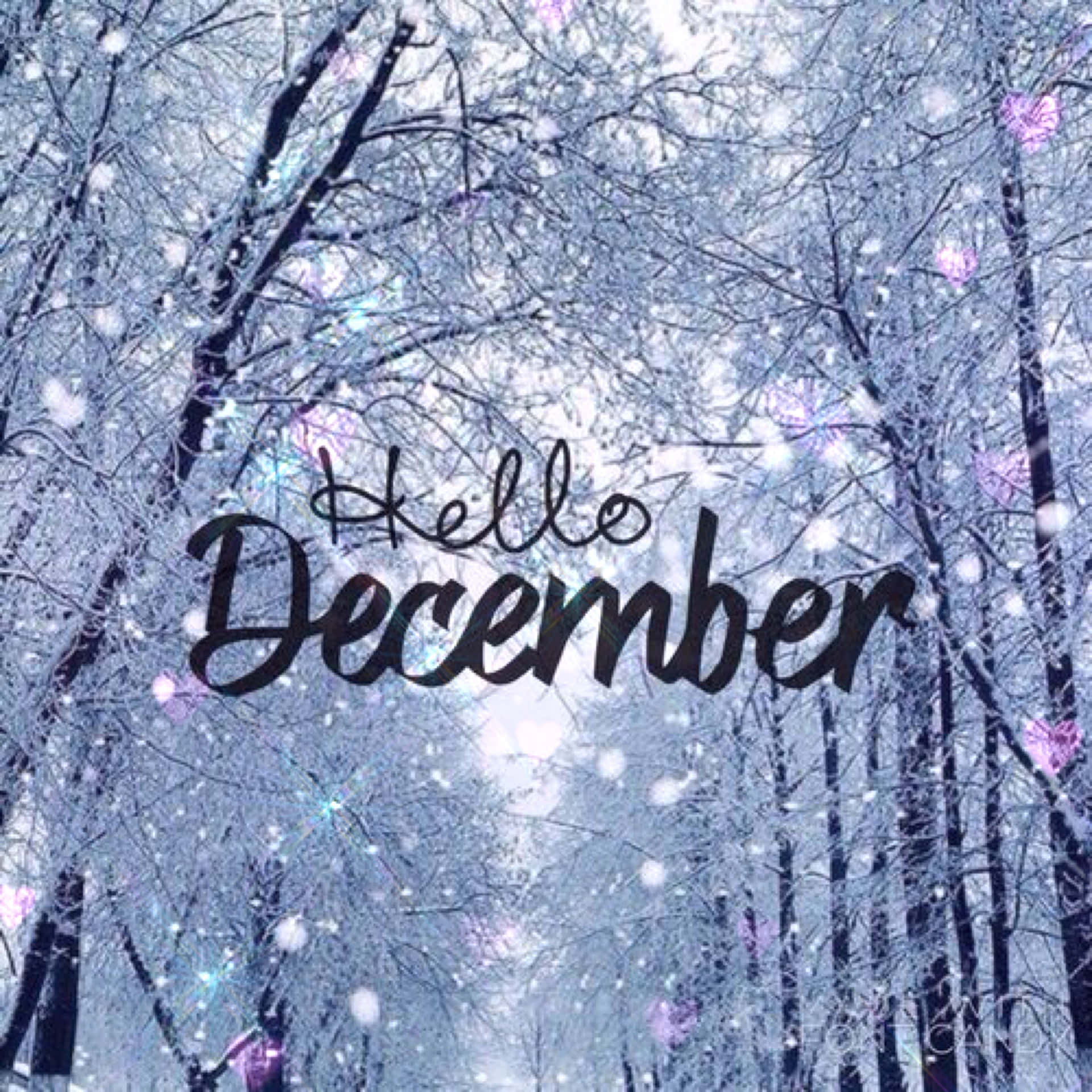 Let Us Welcome December! Wallpaper