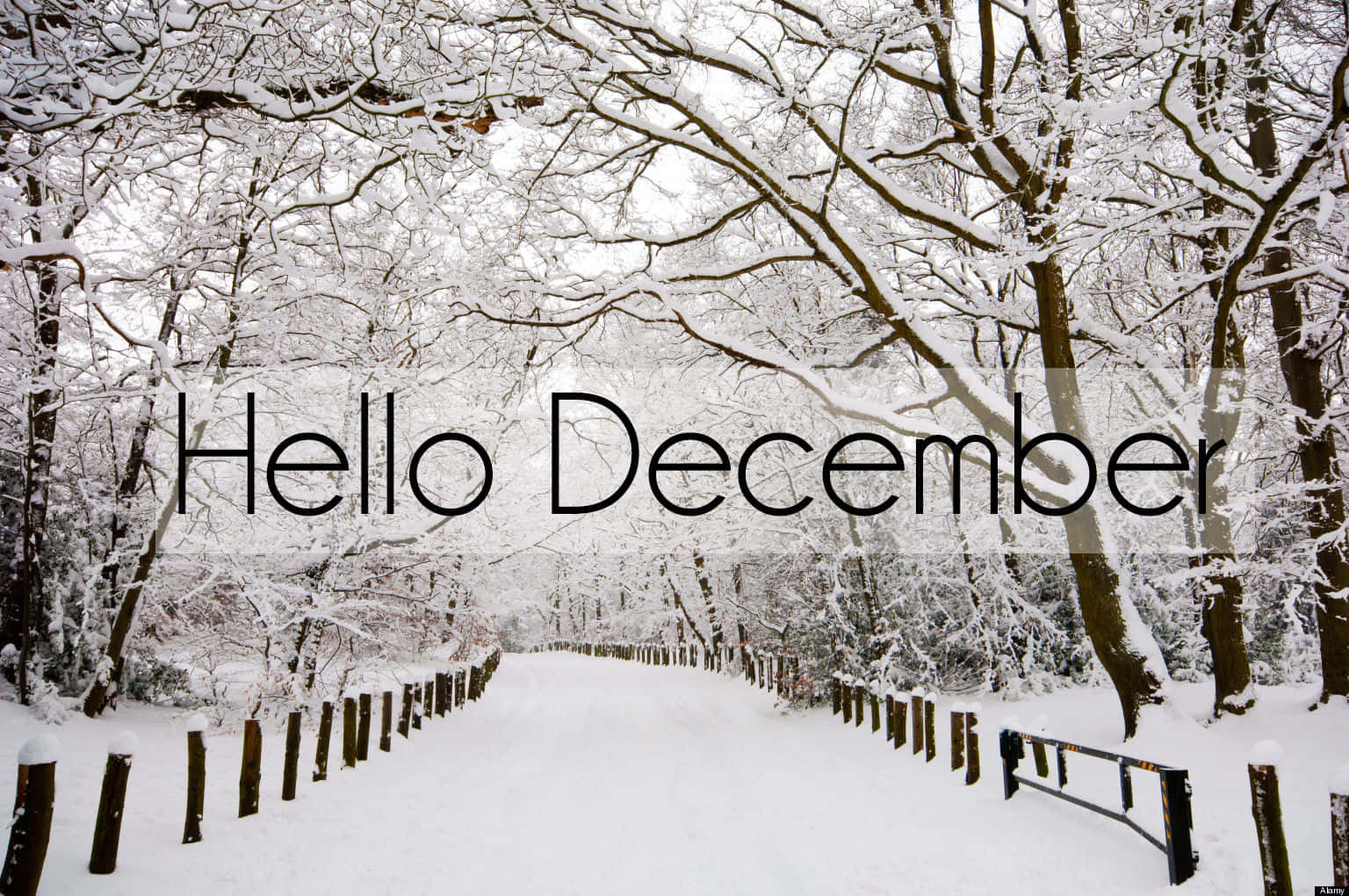 “Welcome December, a time of joy and celebration!” Wallpaper