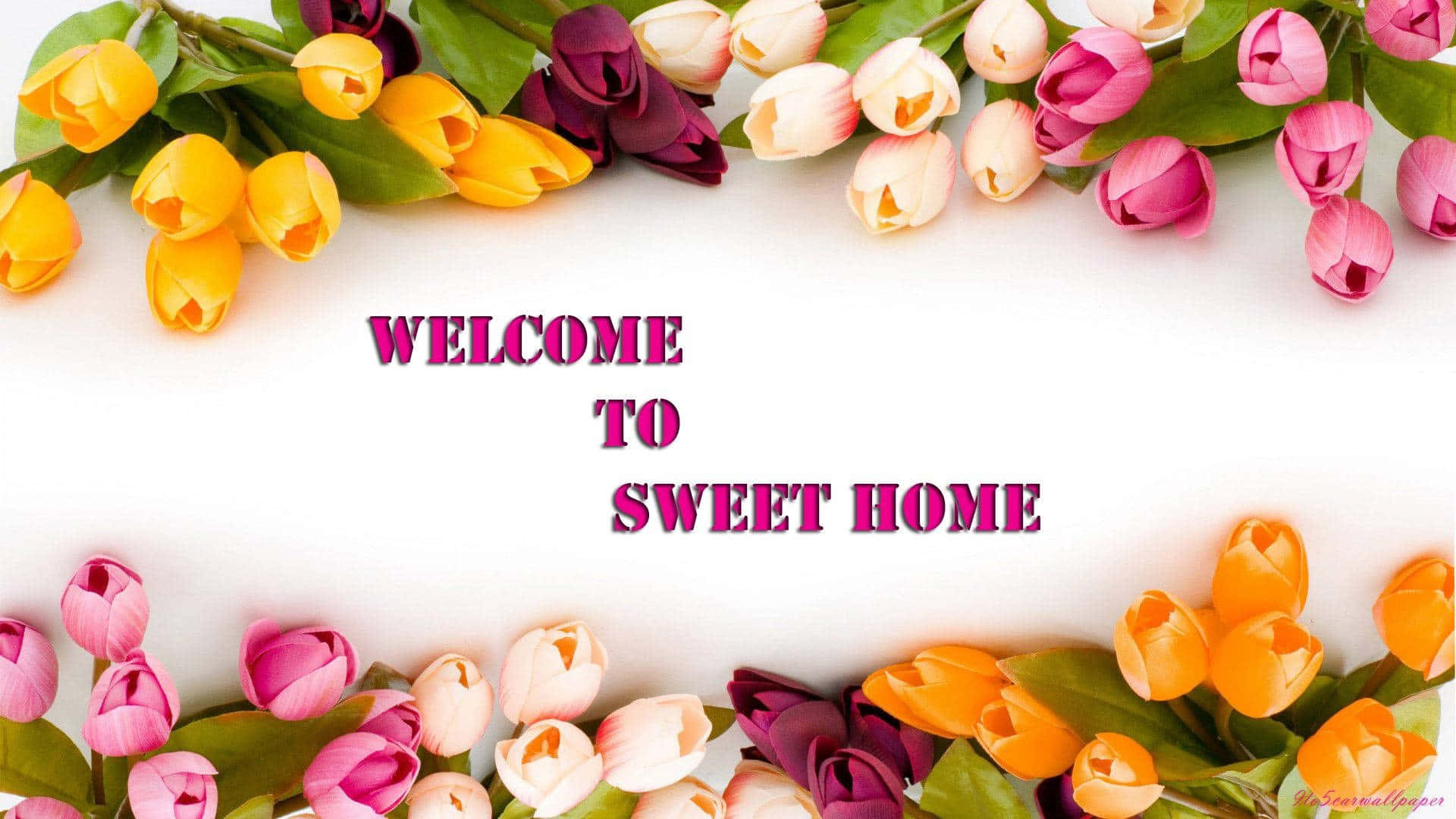 Welcome Home Sweet Home Tulip Floral Design Wallpaper