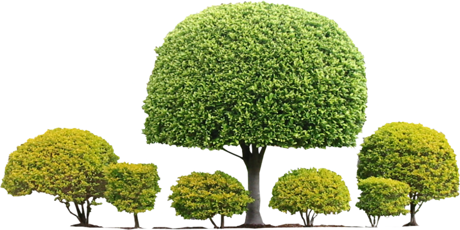 Well Manicured Shrubbery Collection PNG