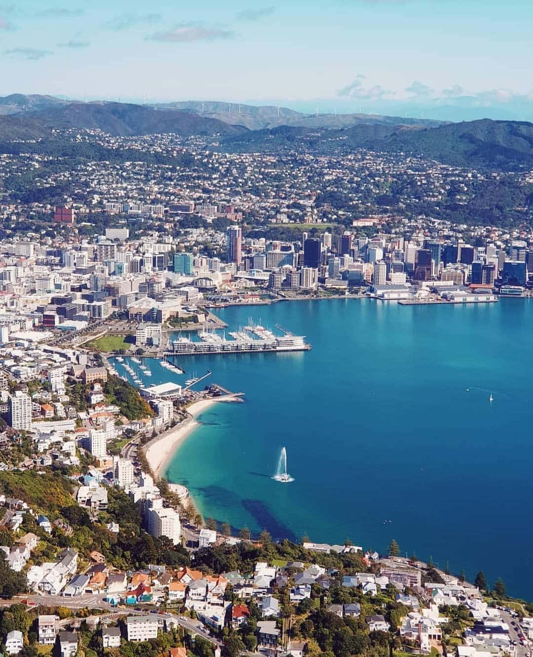 Wellington Cityscape Aerial View Wallpaper