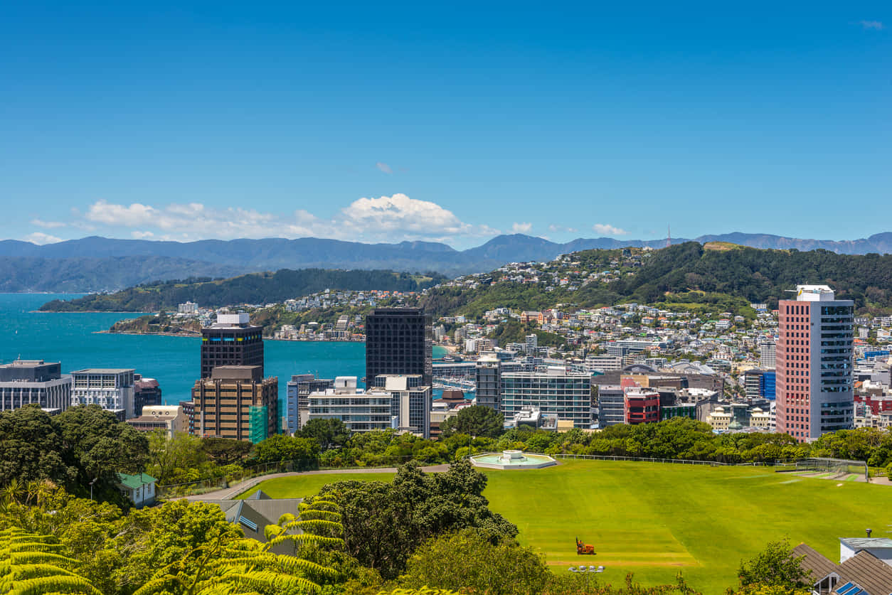 Wellington Cityscapeand Harbor View Wallpaper
