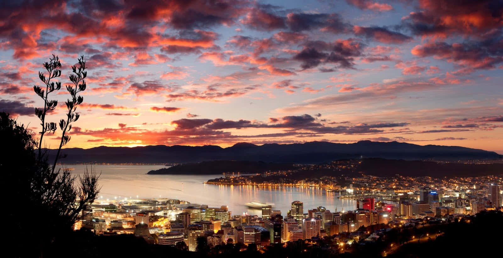 Wellington Sunset Cityscape Wallpaper