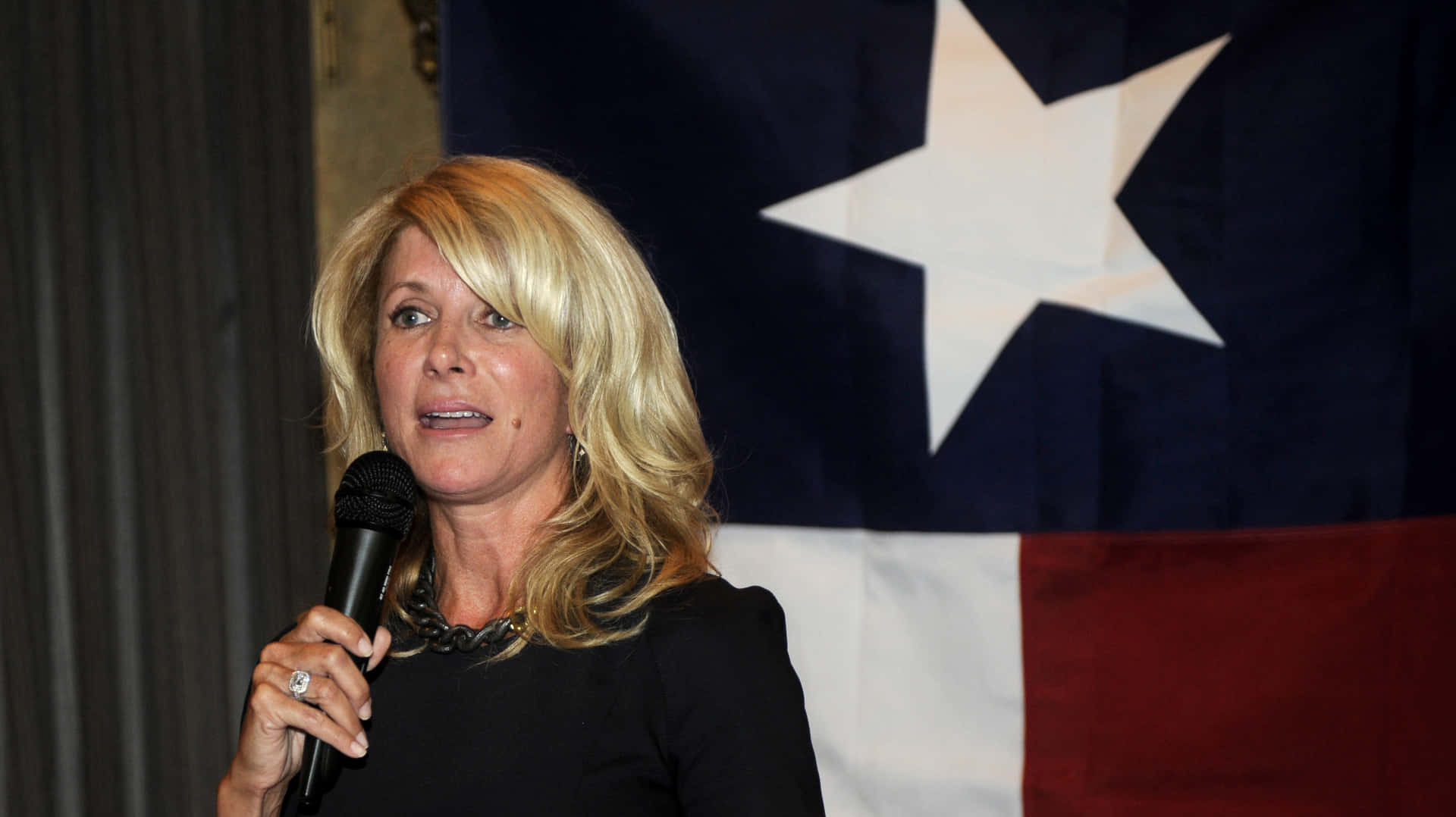 Wendy Davis on Campaign Trail during Texas Governor Race Wallpaper