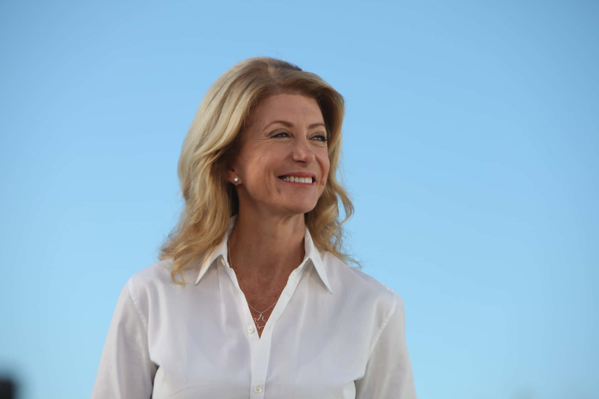 Didyou Mean That You Wanted The Translation In The Context Of A Computer Or Mobile Wallpaper That Features Wendy Davis Wearing A Chic White Blouse? Sfondo