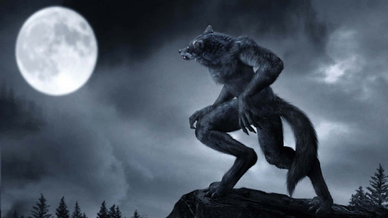 Fearsome Werewolf Costume Unleashing Its Fury Wallpaper