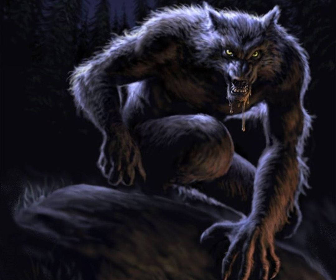 A Werewolf Lurking In the Shadows of the Forest Wallpaper