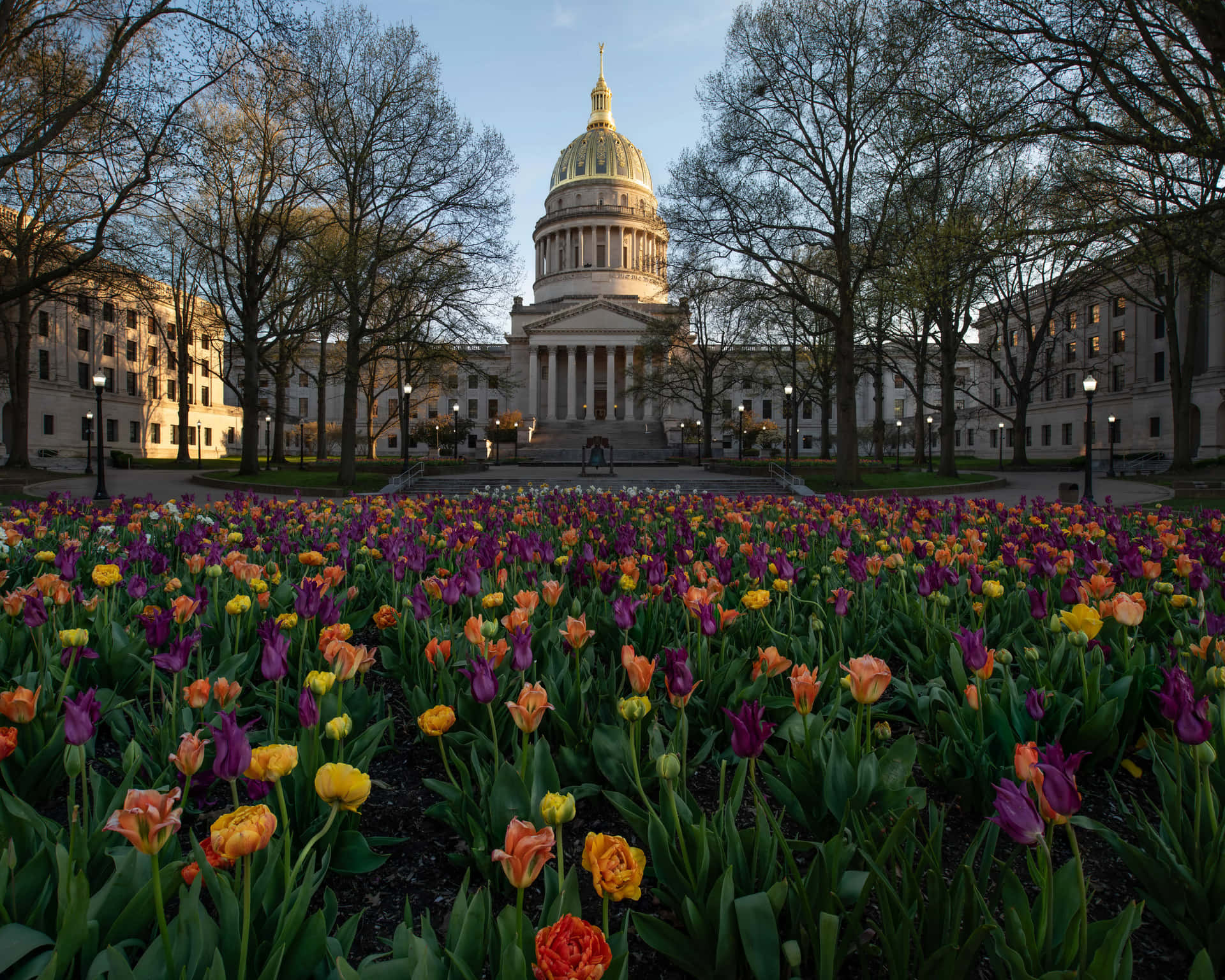 West Virginia And The State's Gardens And Capitol Building Wallpaper