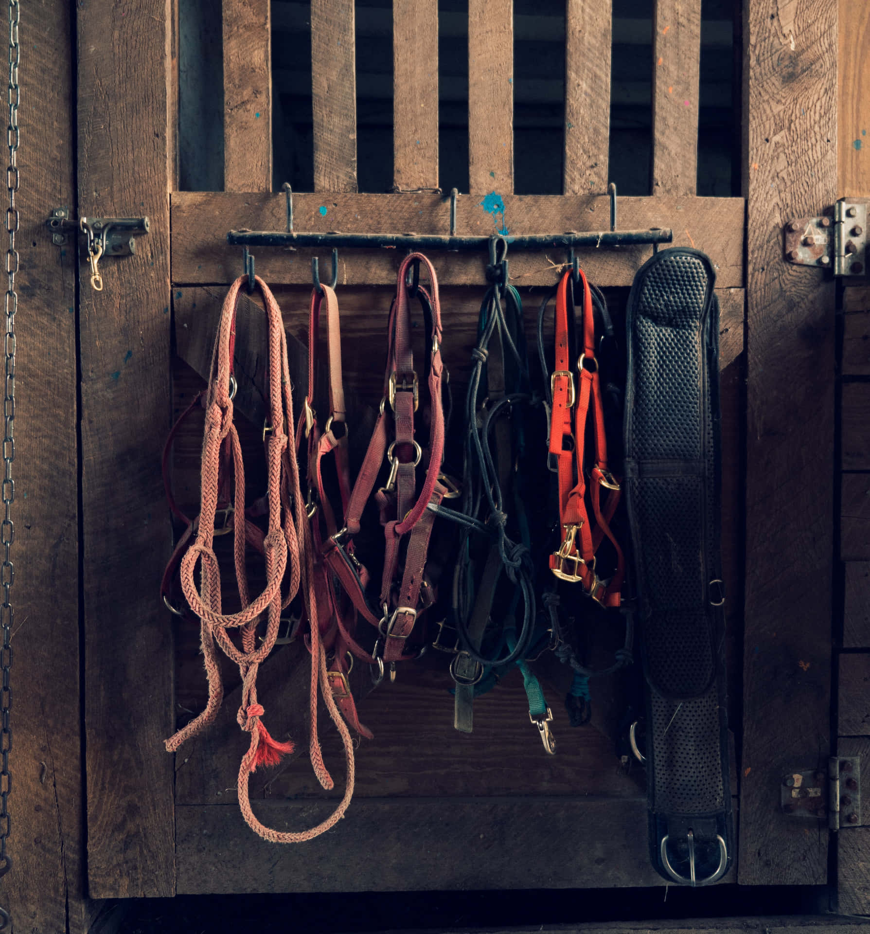 A Horse Stall With A Lot Of Different Saddles Hanging On The Wall