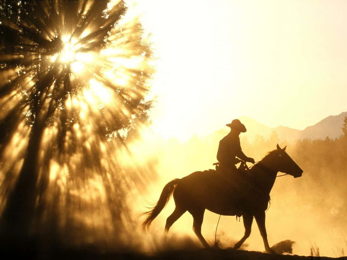 Sunlight And Silhouette Of Western Cowboy Desktop Wallpaper