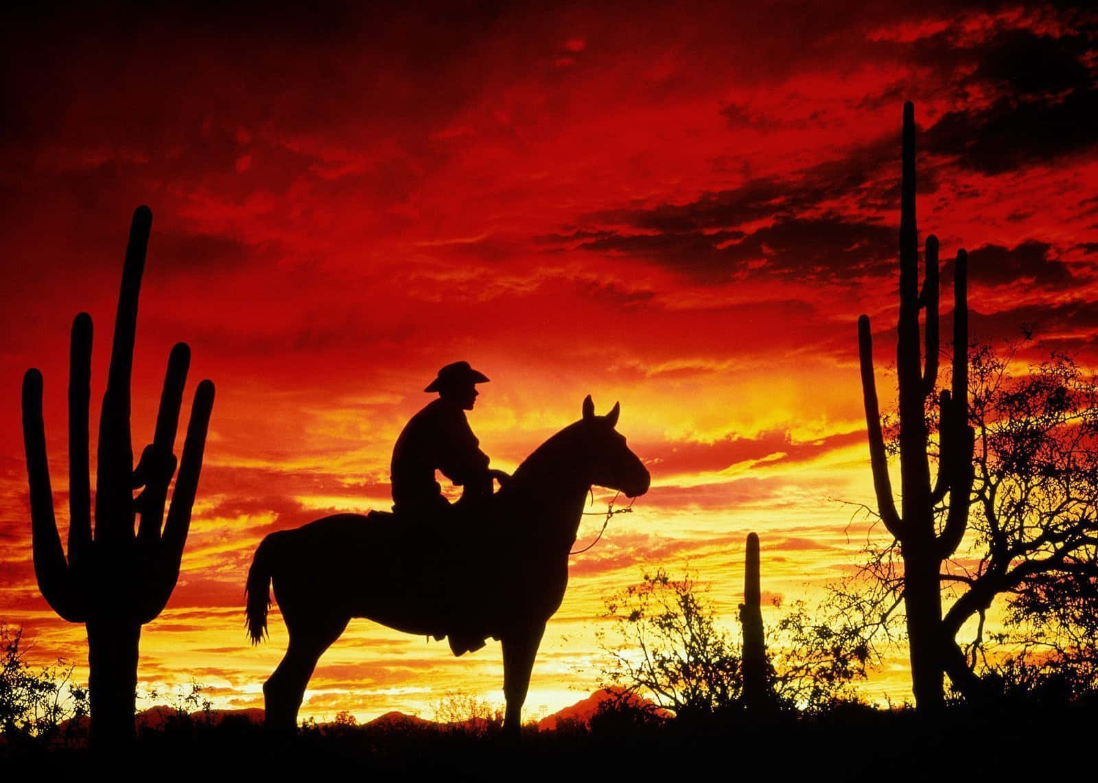 Fieryred Sky Over Western Cowboy Desktop: Lågande Röd Himmel Över Västern-cowboy Skrivbordet. Wallpaper