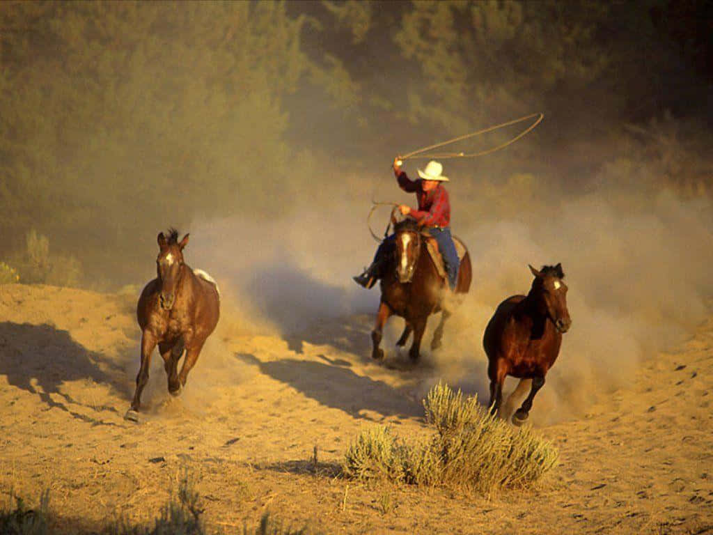 Cowboymontando A Cavalo Na Encosta Da Montanha. Papel de Parede