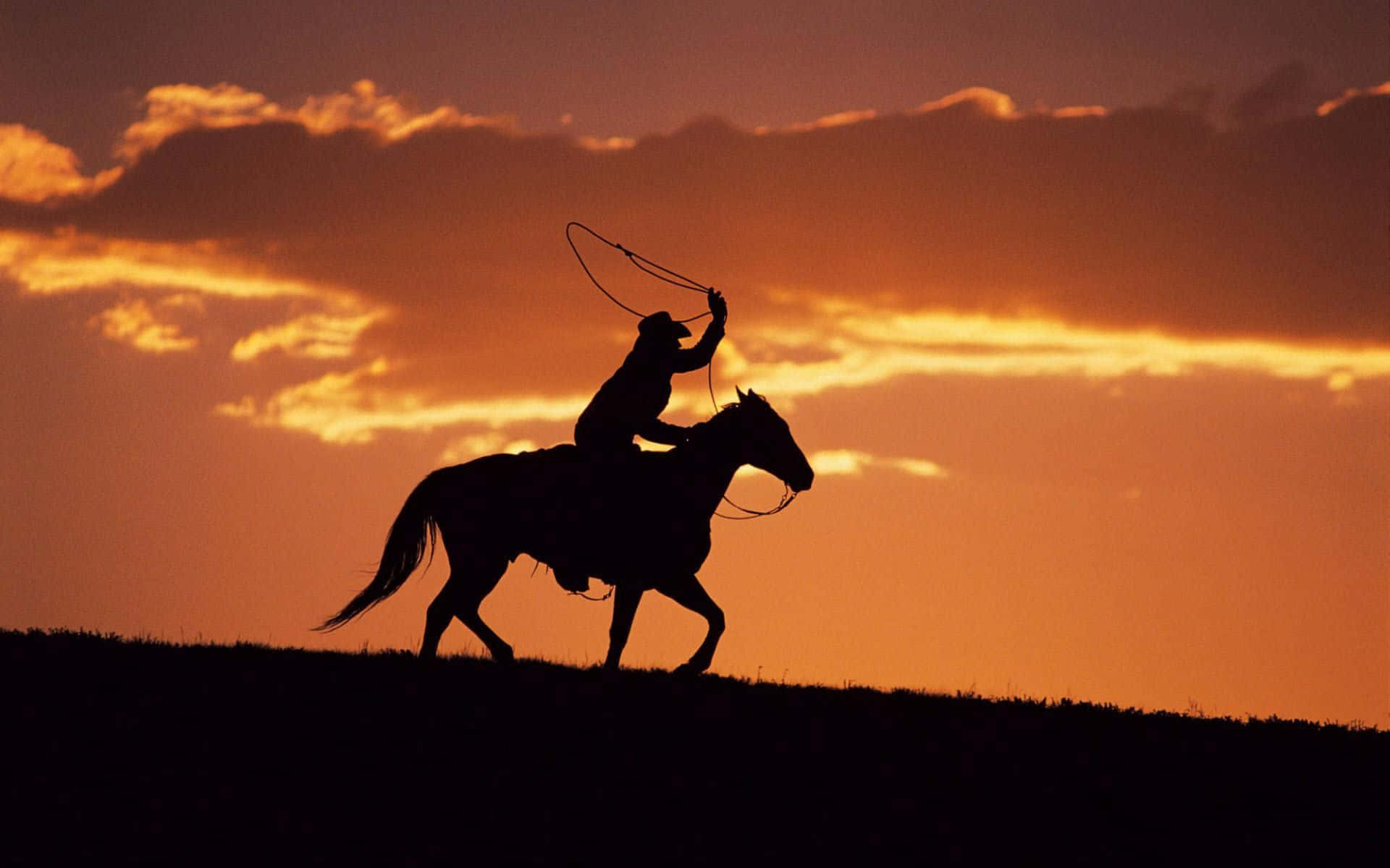 Uncowboy Su Un Cavallo È Delineato In Controluce Al Tramonto Sfondo