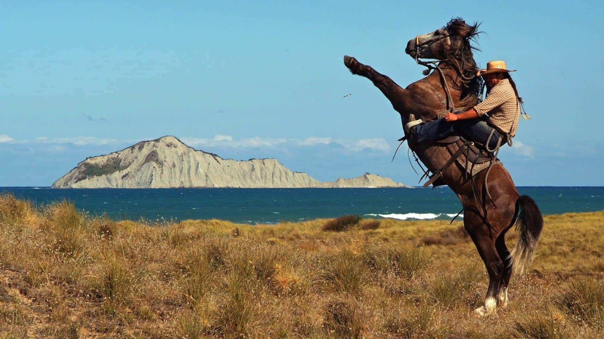 Enmand Rider På En Hest