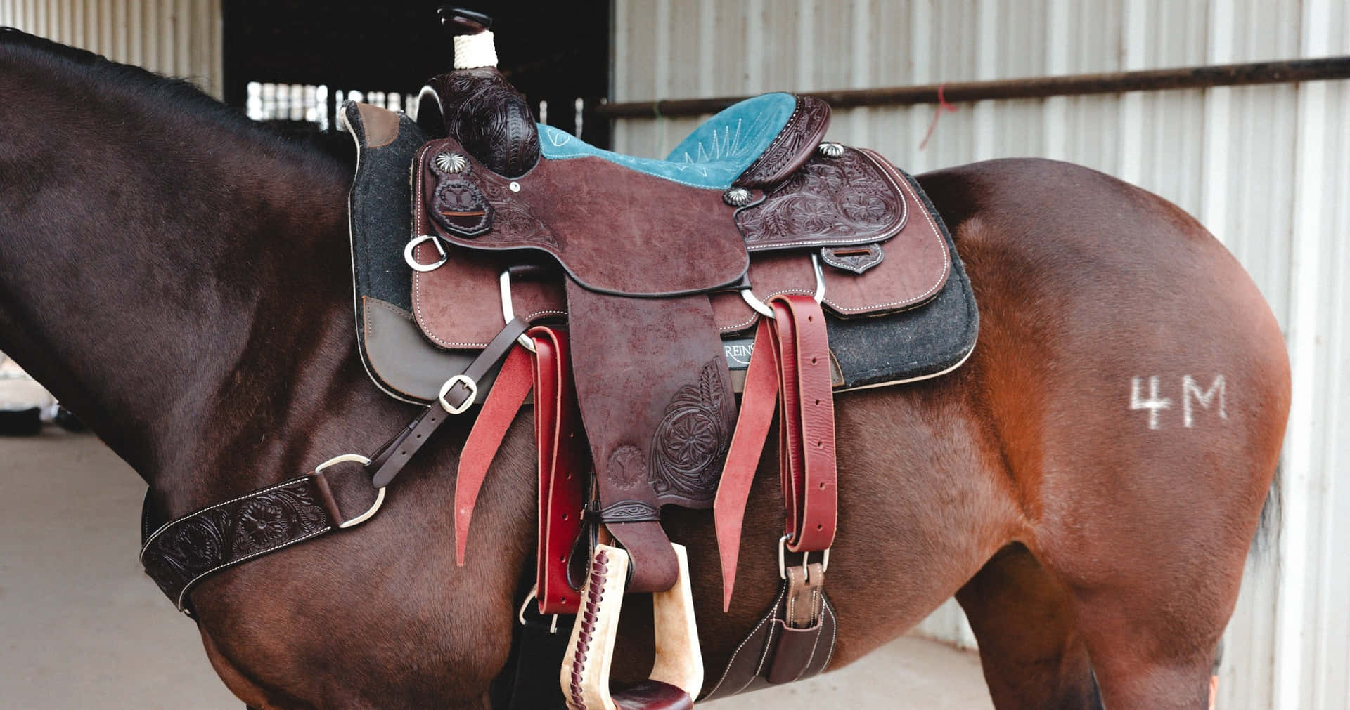 Western Zadel Op Paard Achtergrond