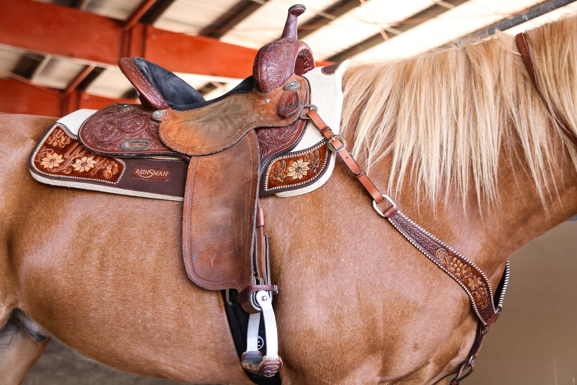 Western Zadel Op Paard Achtergrond