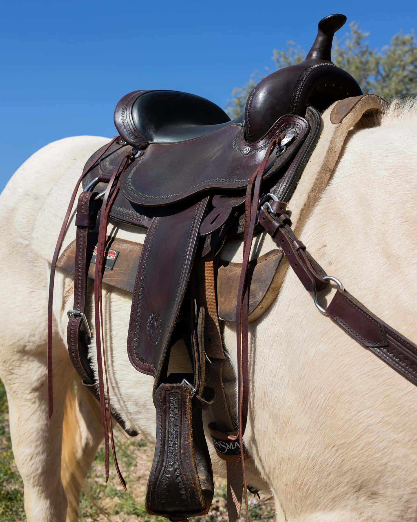 Selle Western Sur Cheval Fond d'écran