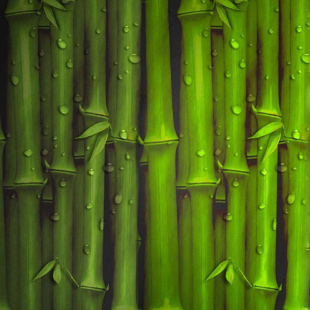 Wet Bamboo Stalks Art IPhone Wallpaper