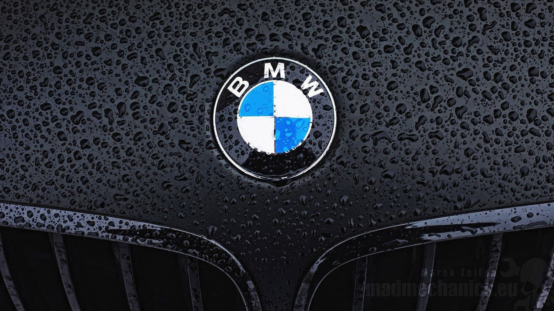 Wet Black BMW M Hood Logo Wallpaper