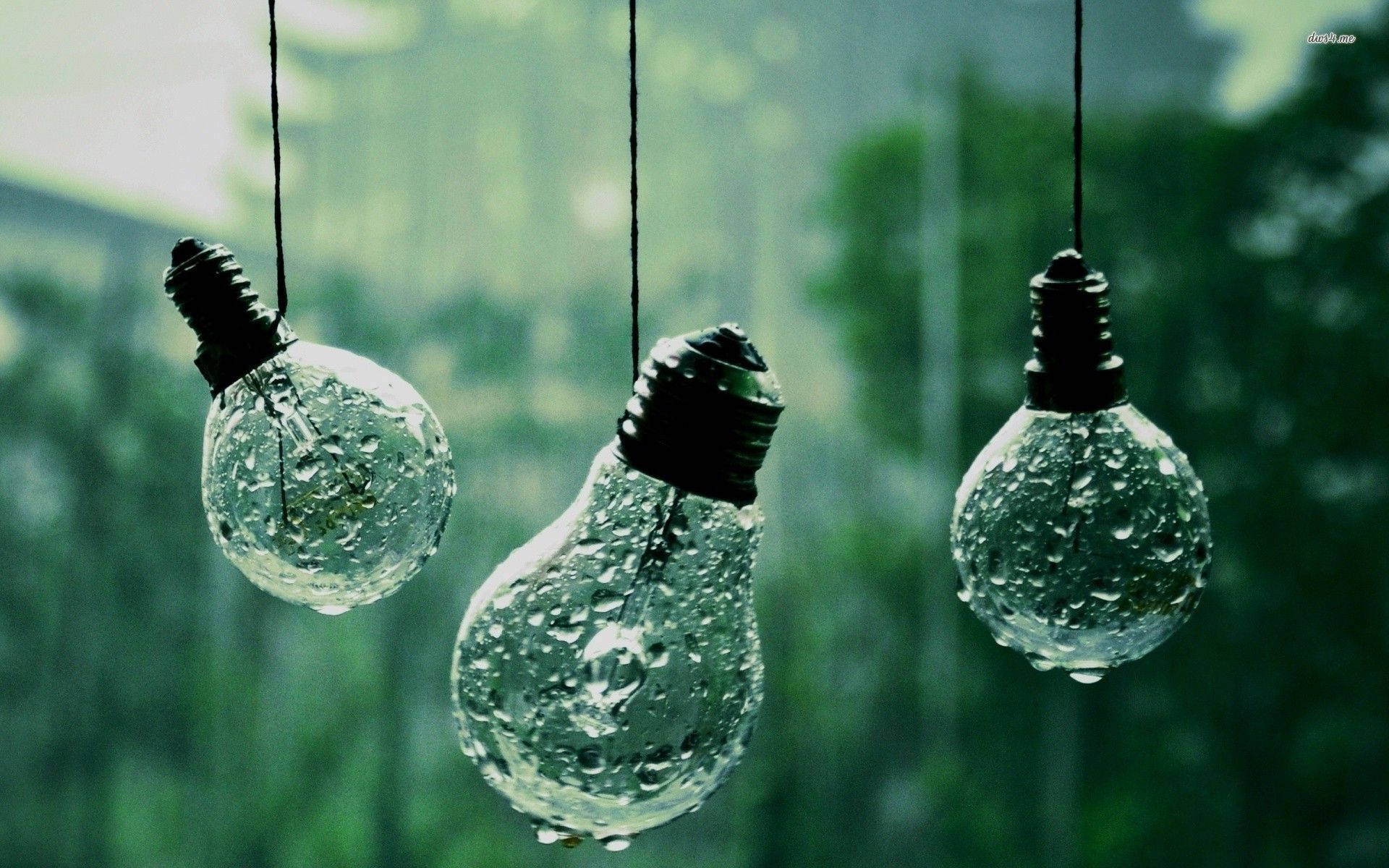 Wet Light Bulbs Photography