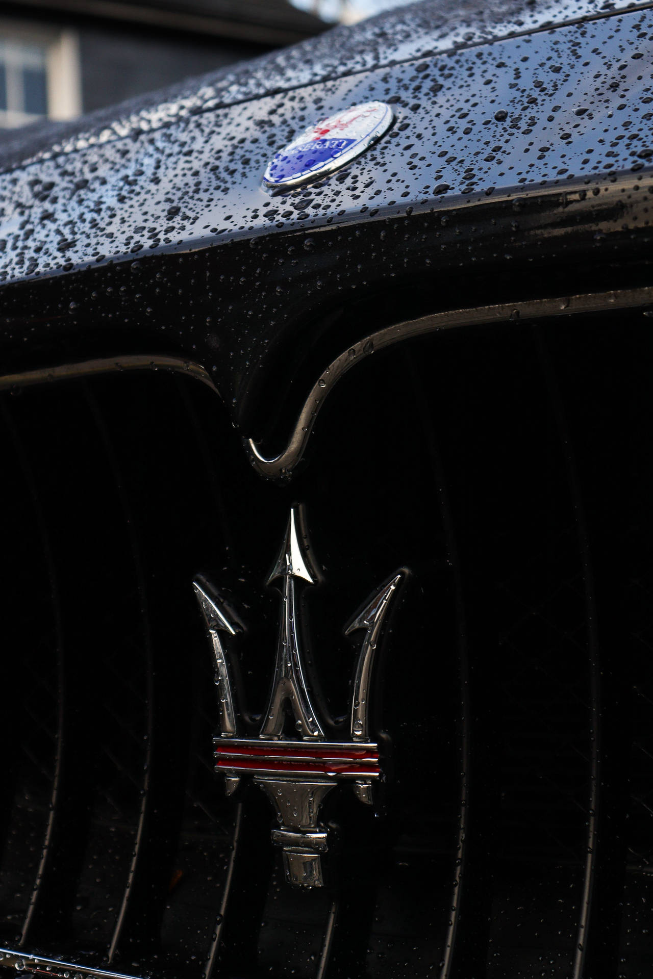Wet Maserati Car Hood