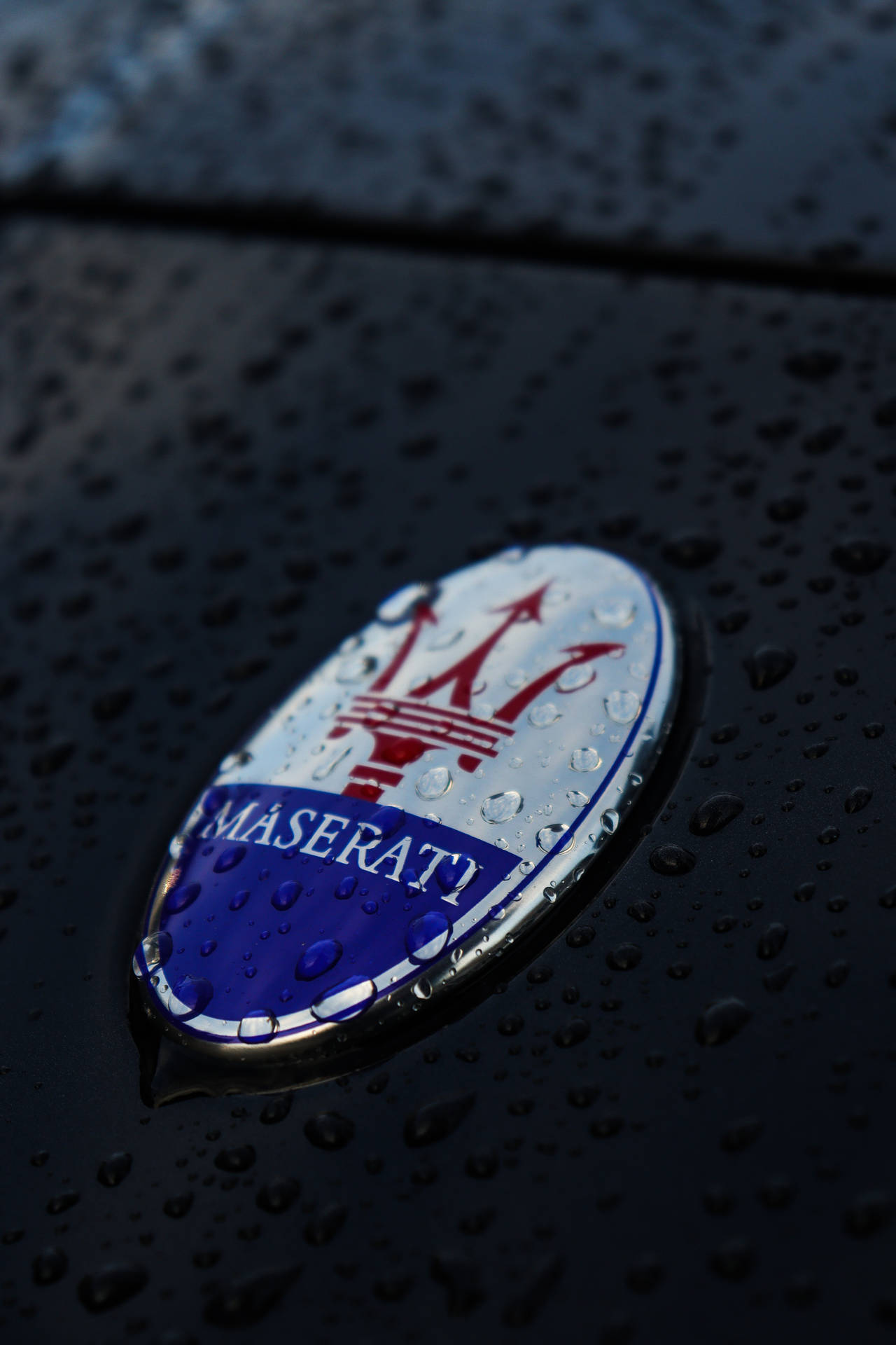 Wet Maserati Logo
