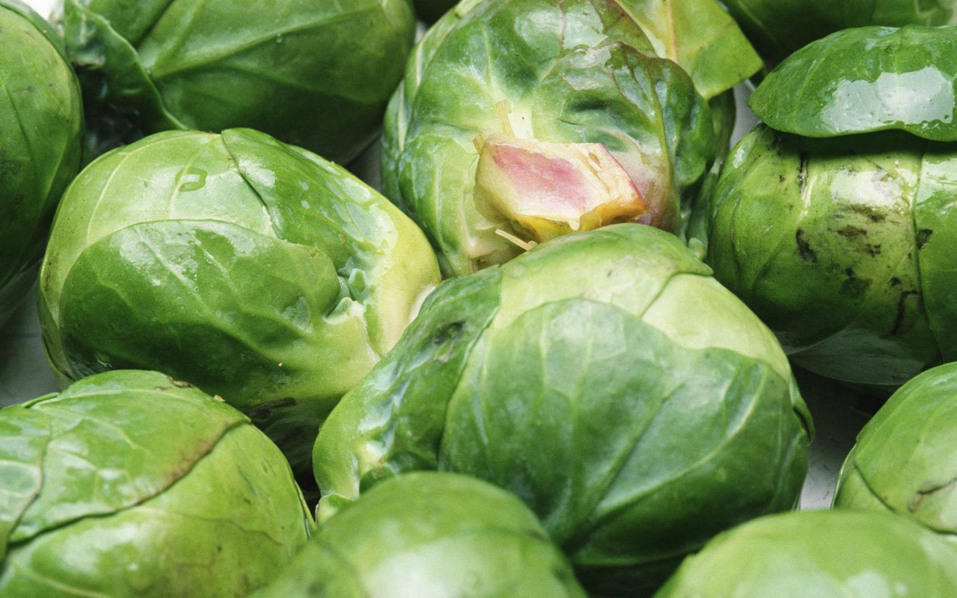 Wet Shiny Brussels Sprouts Vegetables Wallpaper