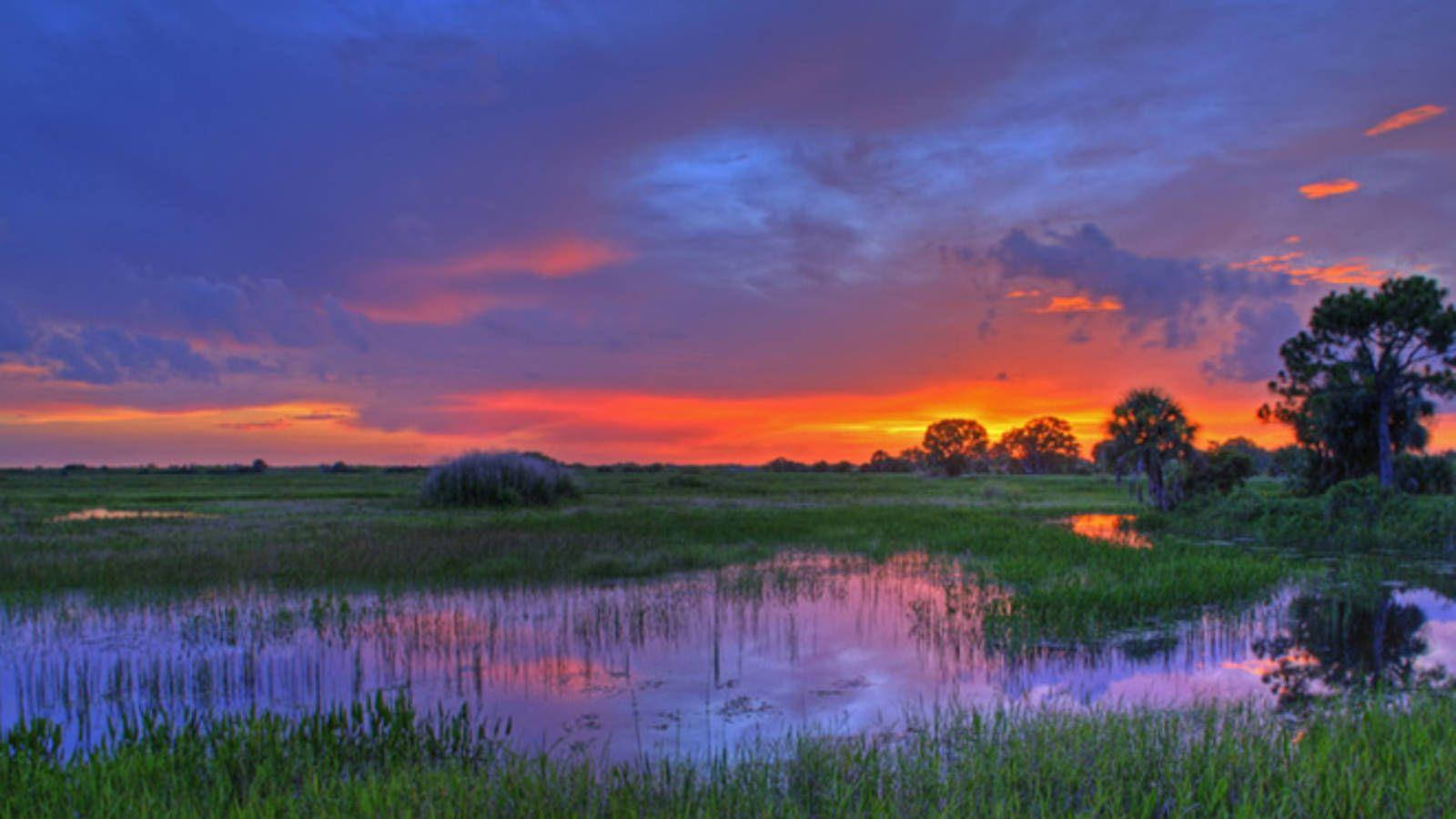 Wetlands Sunset Everglades National Park Picture
