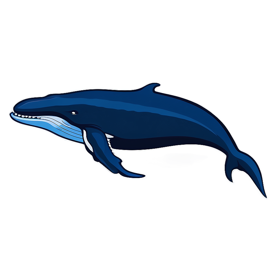 Download Whale And Anchor Png Pro | Wallpapers.com