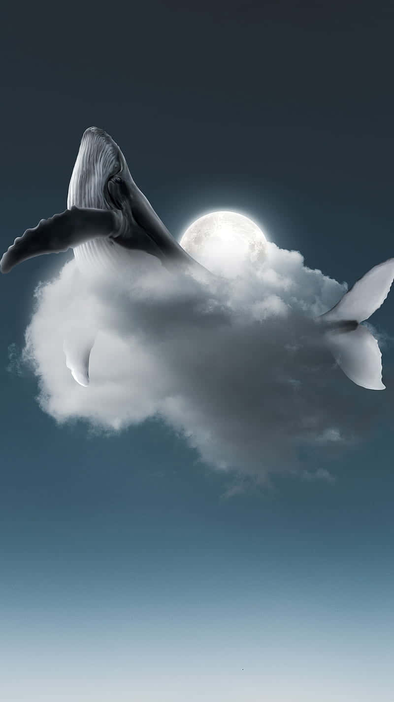 Whale Cloud Moon Illusion Wallpaper