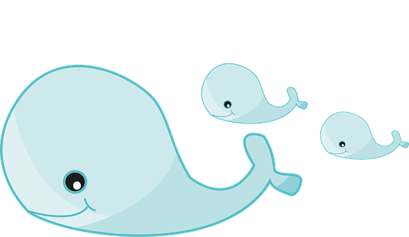 Whale Family Cartoon PNG