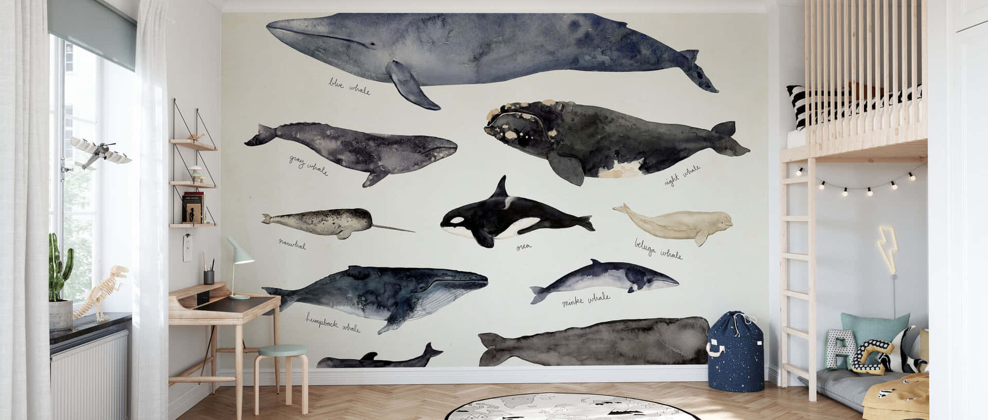 Whale Illustration Wallpaper Childrens Room Wallpaper