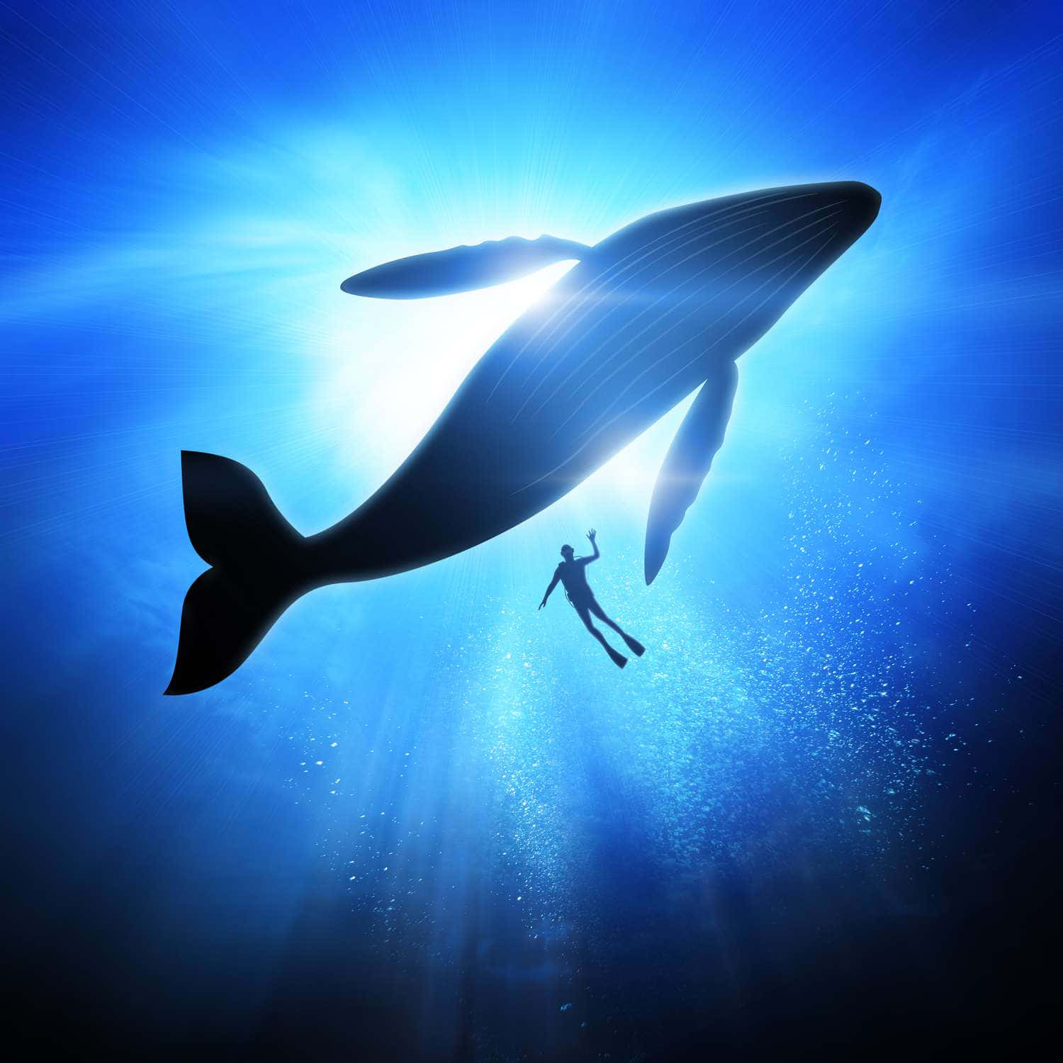 Immaginedi Un Subacqueo Con Balena