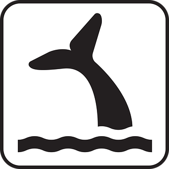 Whale Tail Icon Simple PNG