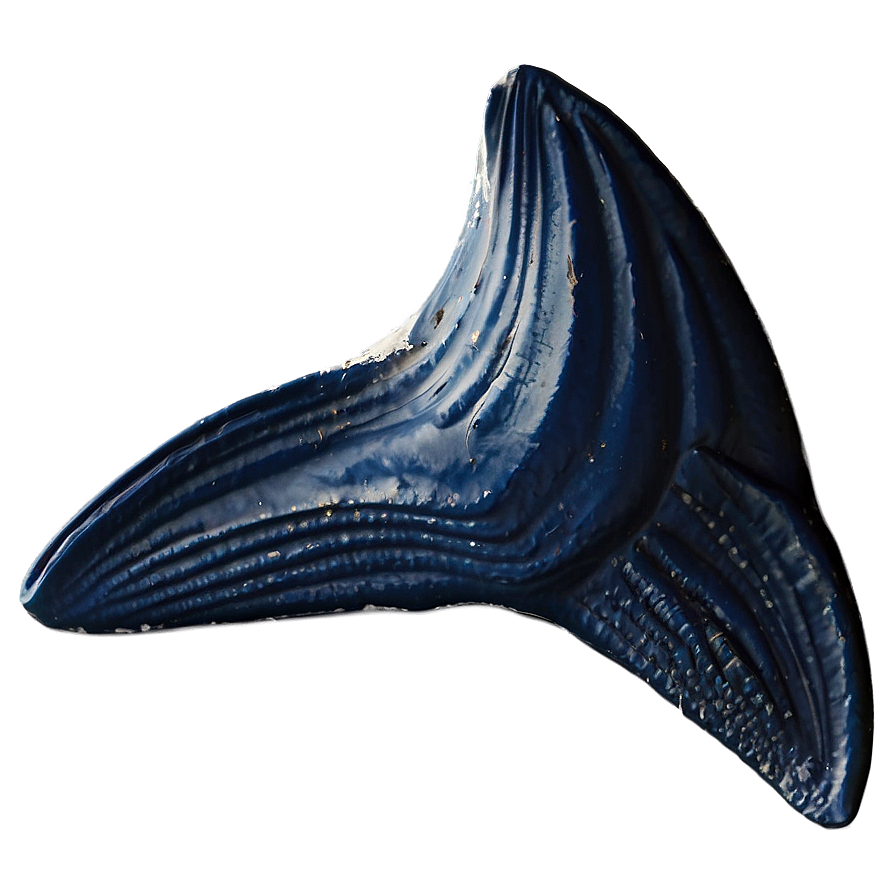 Whale Tail Png Ydi58 PNG