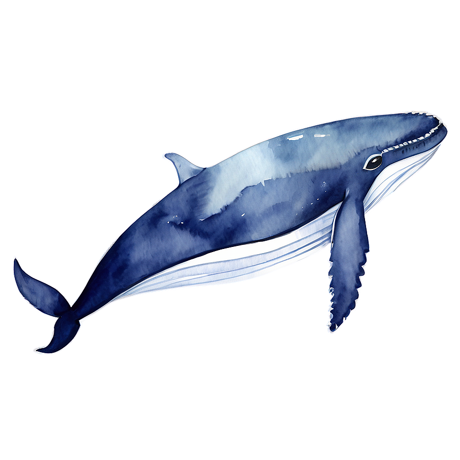 Download Whale Watercolor Png 48 