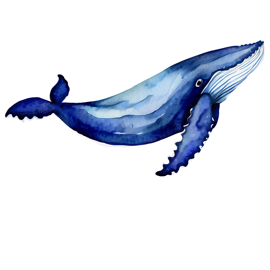 Download Whale Watercolor Png 51 | Wallpapers.com