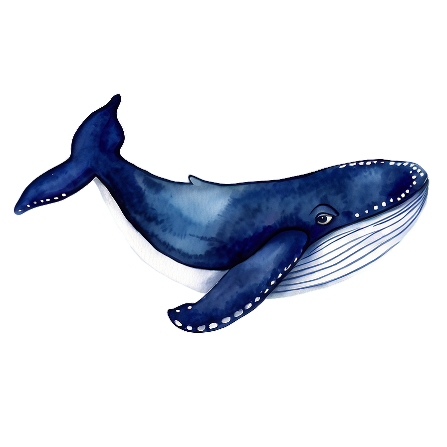 Download Whale Watercolor Png Qdu | Wallpapers.com