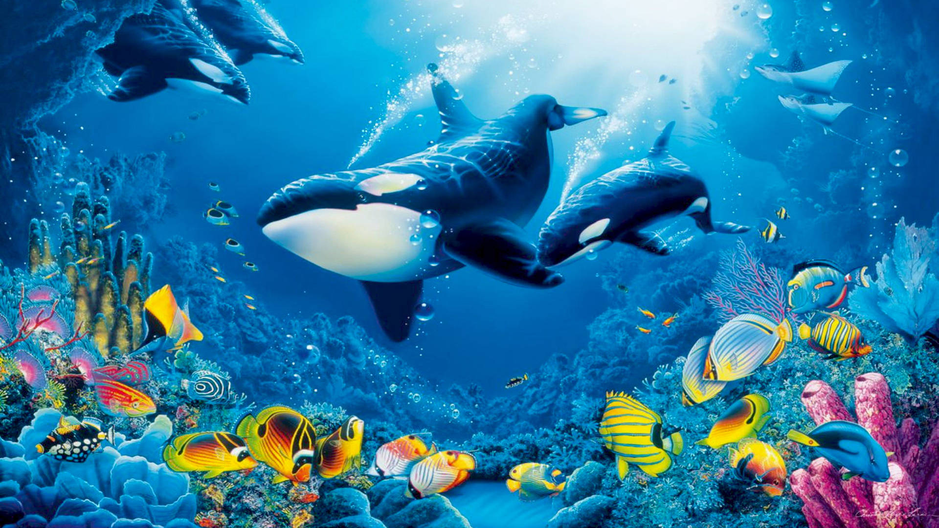 Whales And Fish Swimming Under Sea Wallpaper