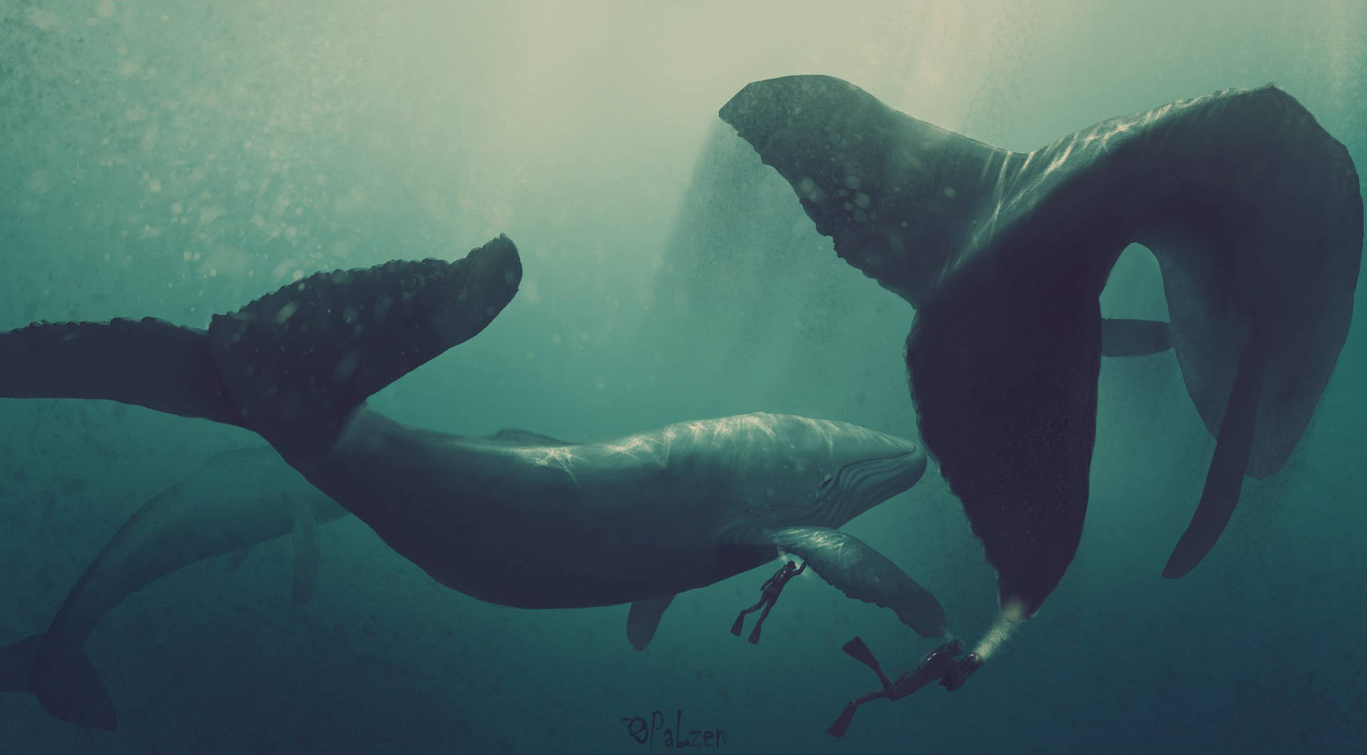 Balene Con Subacquei Sott'acqua Sfondo