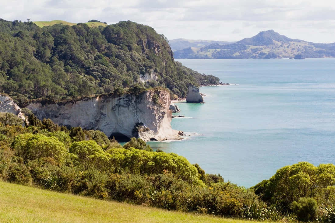 Whanganui Coastal Cliffs New Zealand Wallpaper