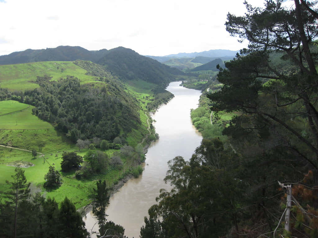 Whanganui River Valley New Zealand Wallpaper