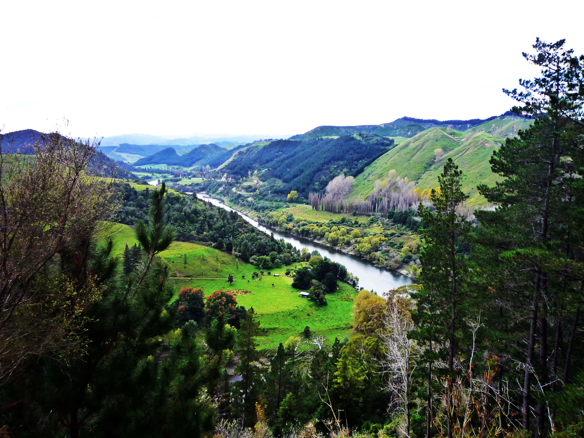 Whanganui River Valley New Zealand Wallpaper