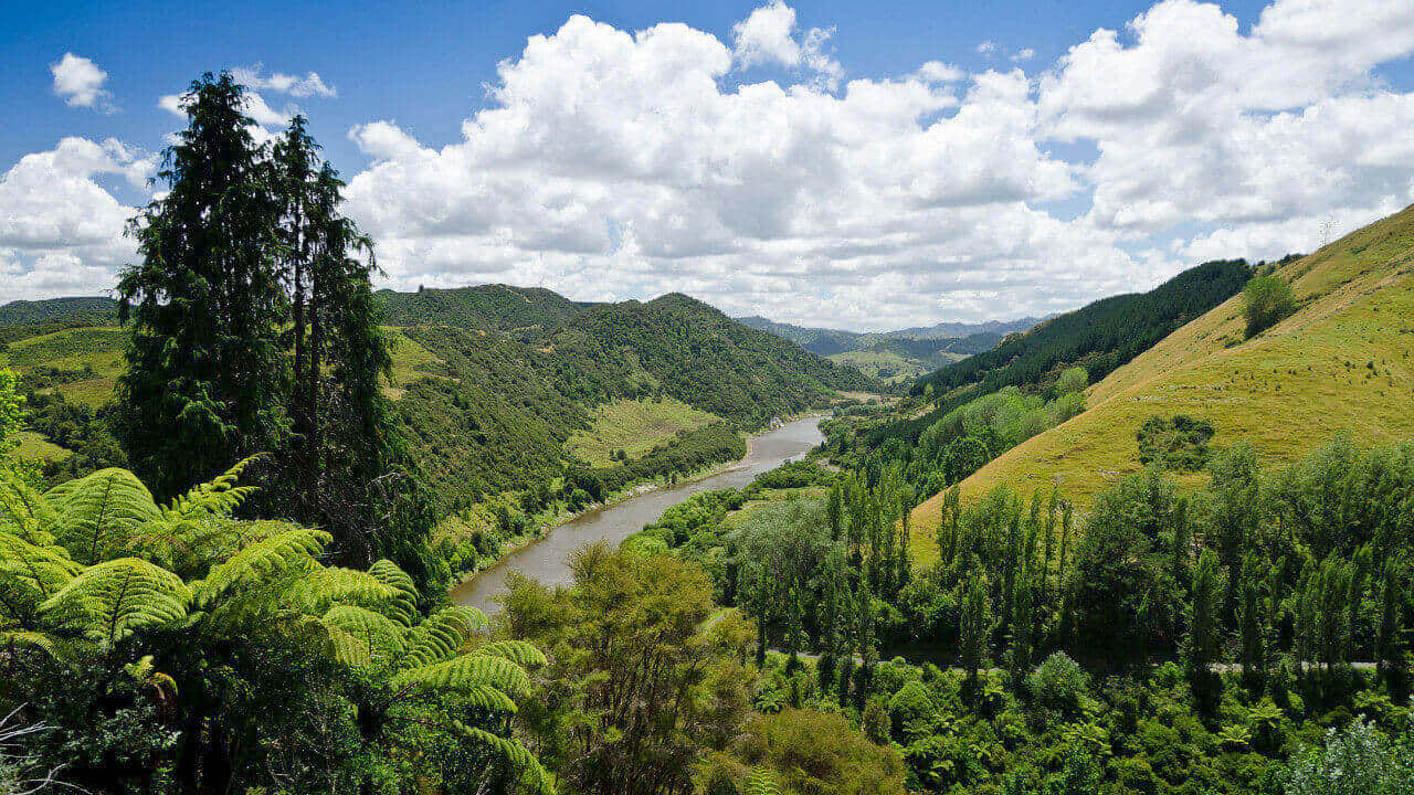 Whanganui River Valley New Zealand Wallpaper