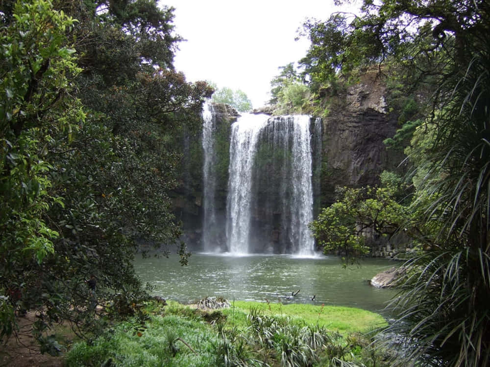 Whanganui Waterfall Serenity Wallpaper