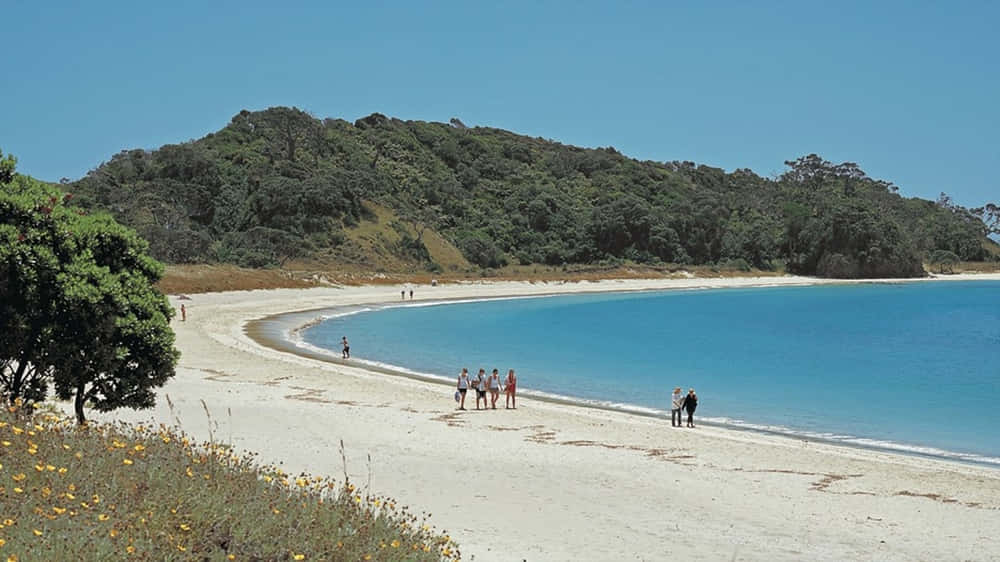 Whangarei Coastal Beach Scenery Wallpaper