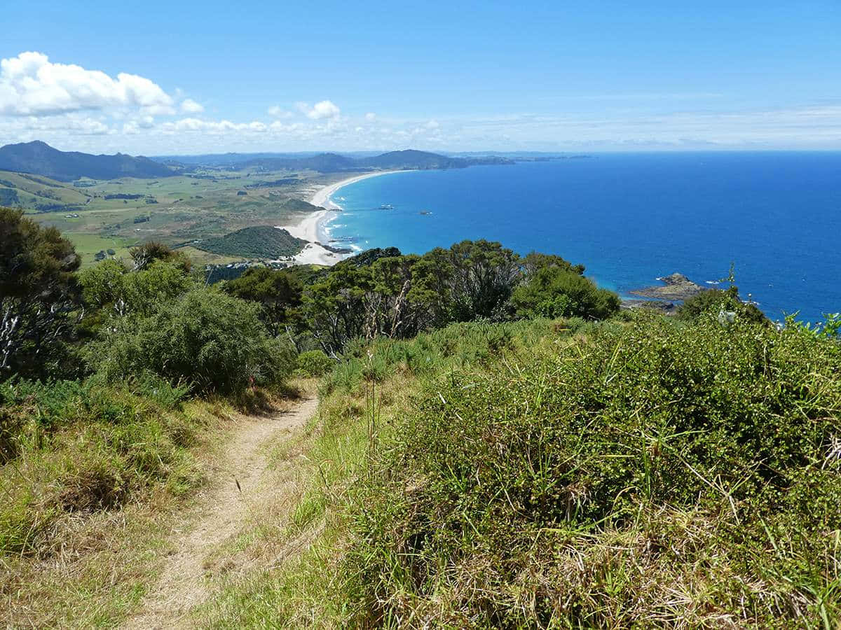 Whangarei Coastal View New Zealand Wallpaper