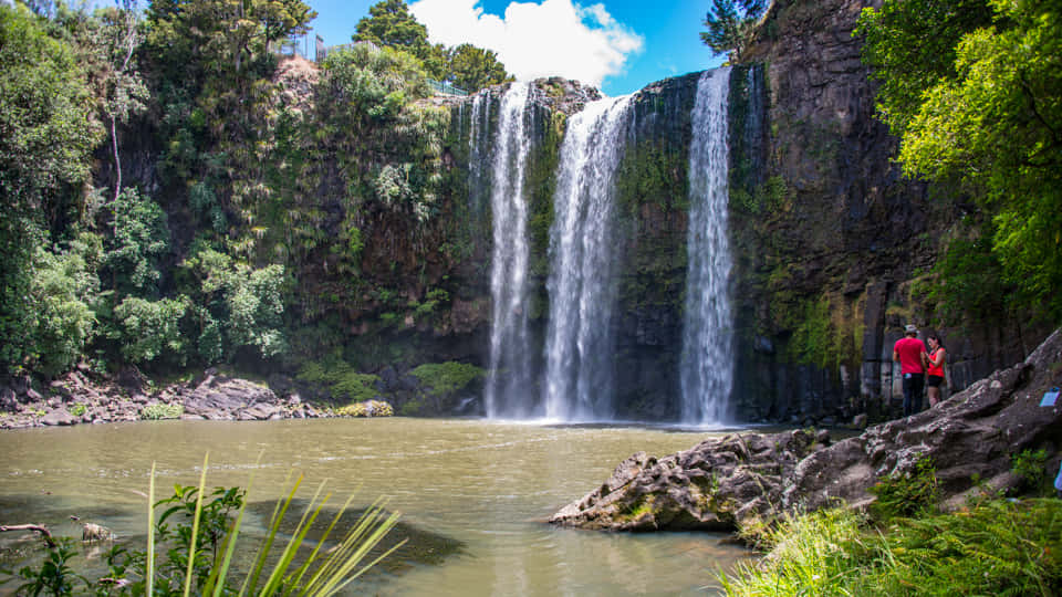 Whangarei Falls New Zealand Wallpaper